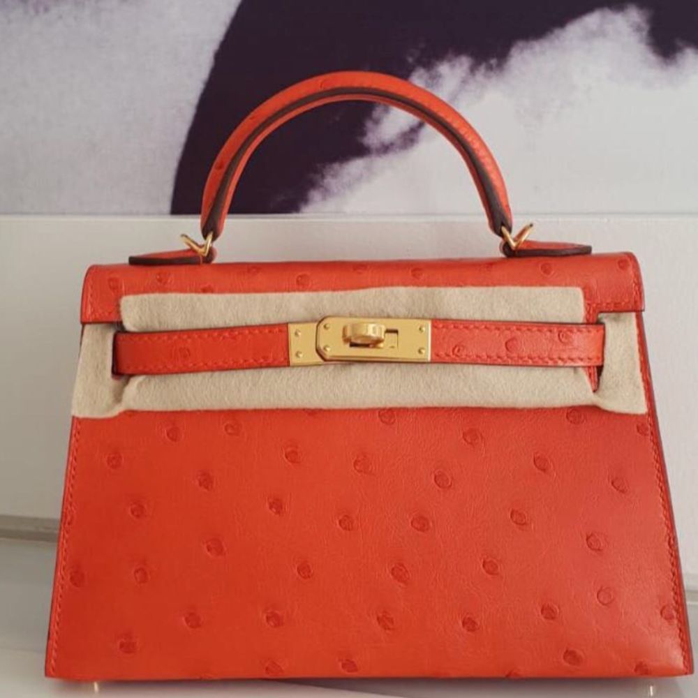 hermes kelly capucine