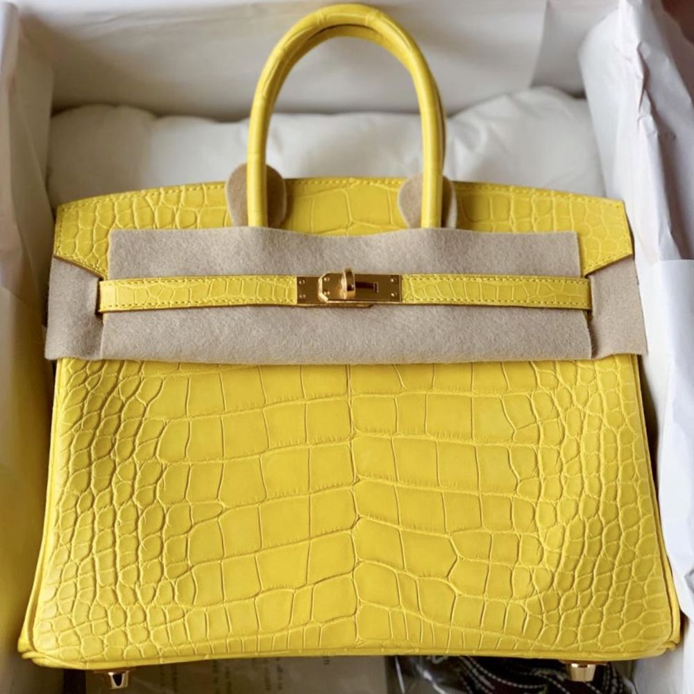 hermes mimosa birkin