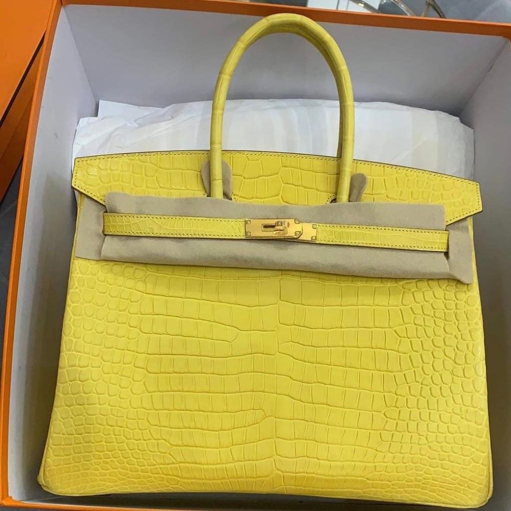 Hermès Birkin 35 Mimosa Crocodile Porosus Matte Gold Hardware GHW — The ...