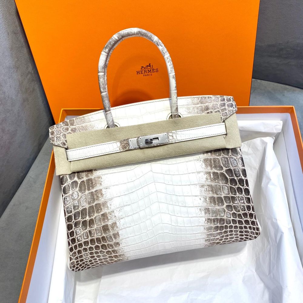 Hermes Birkin 25 Blanc White Himalaya Niloticus Mat Matte Gold/Diamond  Hardware #Q - Vendome Monte Carlo