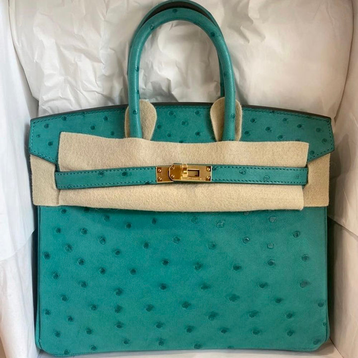 hermes ostrich birkin 25