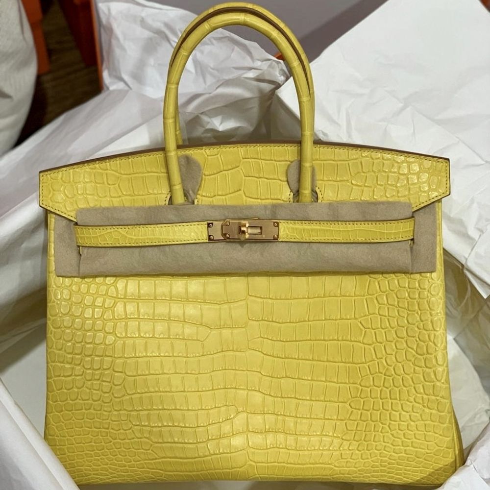 hermes mimosa birkin