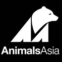 Steve Adam Gallery Donates to Animals Asia