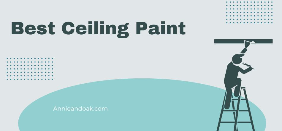 Best Ceiling Paint