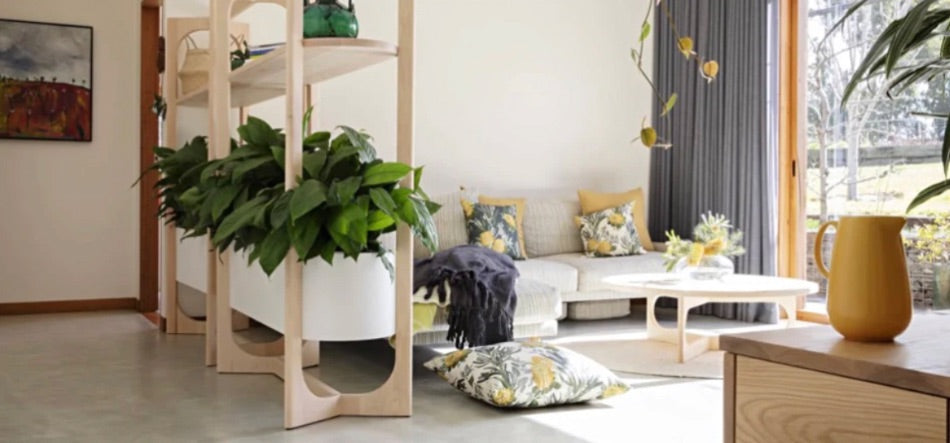 Where To Put Plants In A Living Room