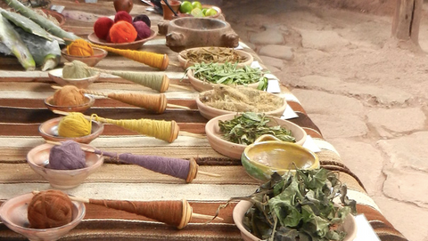 Plant Based Natural Dyes