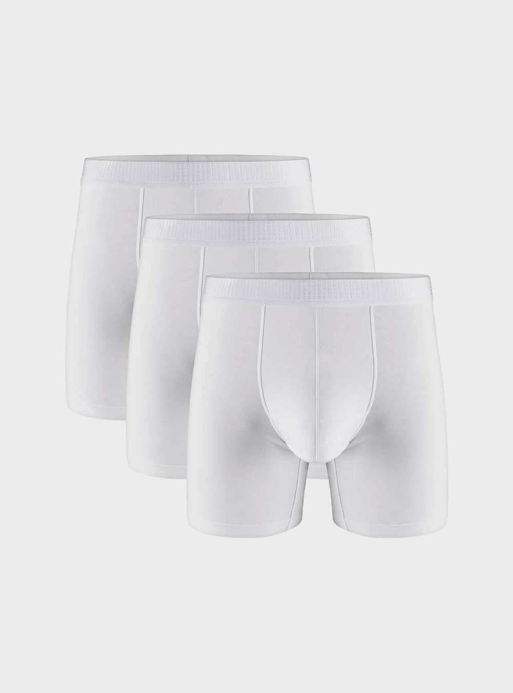 Separatec 丨Revolutionary Men's Dual Pouch Underwear