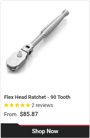 Best Professional-Grade Flex Head Ratchet