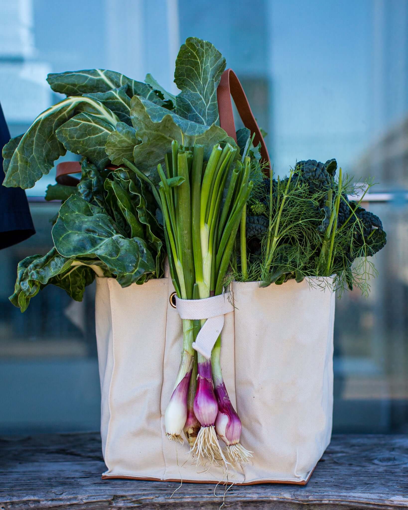 Capabunga Multi-Pocket Canvas Grocery Tote