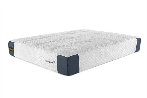 Rejuvenate 12" Hybrid Mattress | Free Shipping - @ARFurnitureMart