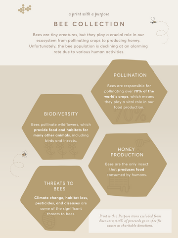 Bee Collection Infographic