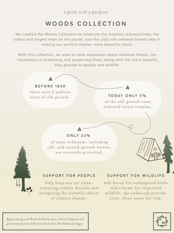 The Woods Collection Infographic