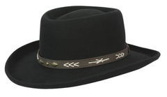 arizona hat