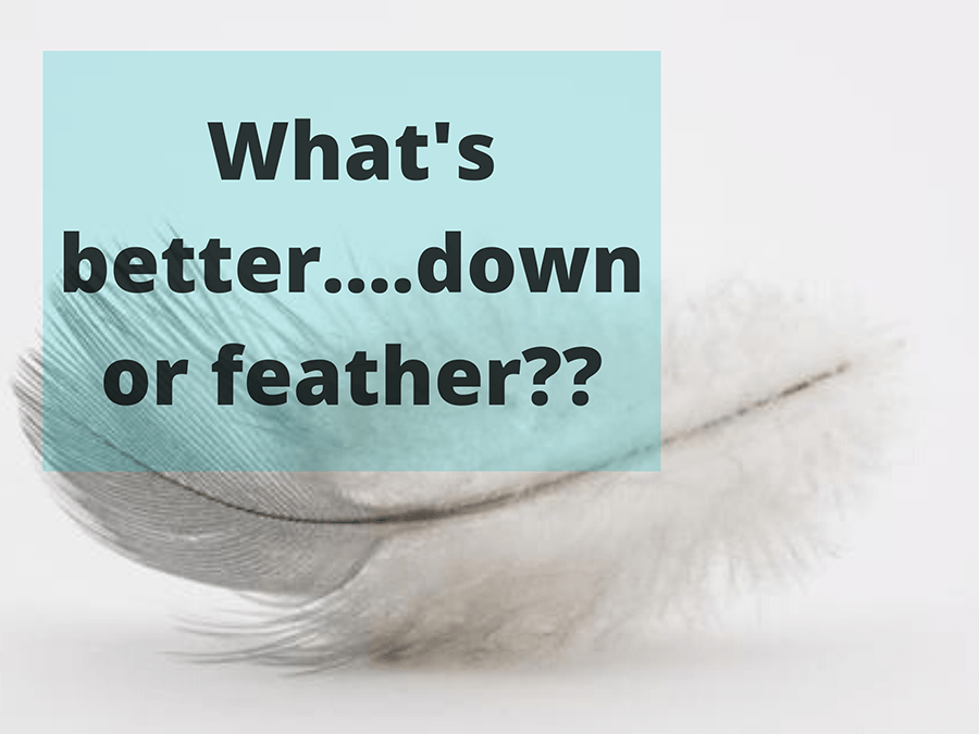 what is the difference between down and feather comforters