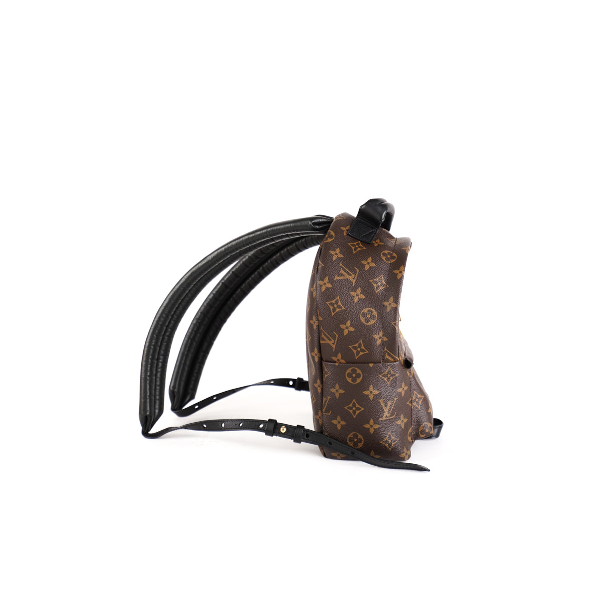 Louis Vuitton Monogram Canvas Palm Springs PM Backpack Louis Vuitton  TLC