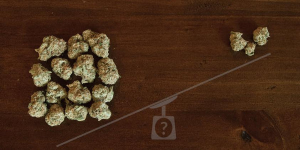 Gram, Eighth, Quarter, Ounce: A closer look at Weed Quantities