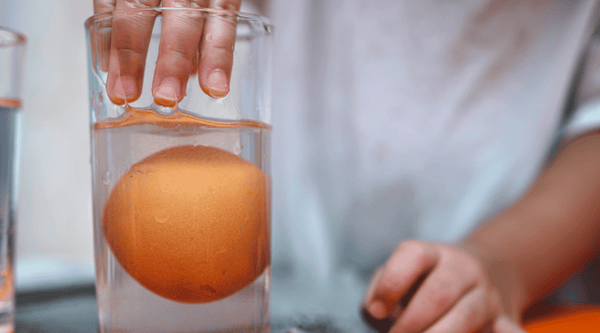 Vinegar Egg Experiment, Disappearing Shell and Bouncy Easter Egg Experience