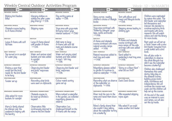 Example of the Weekly Programming and Reflection Diary