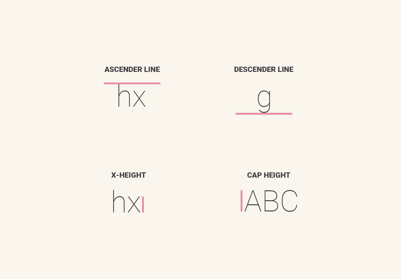 An image showing what ascender line, descender line, x-height and cap height are.