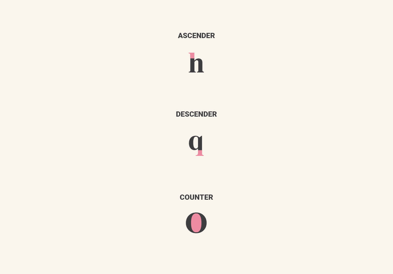 An image showing what ascender, descender and counter are.