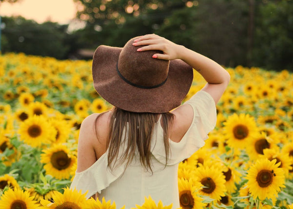 woman sunflowers 