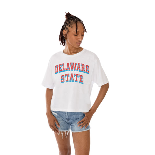 DELAWARE STATE HORNETS Claim To Fame Boxy-Fit Crop Tee