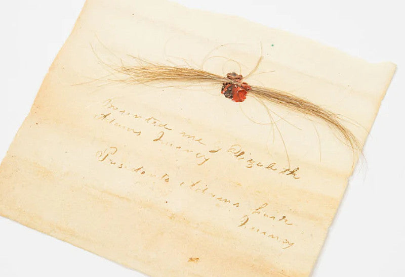 A large lock of John Adams' hair