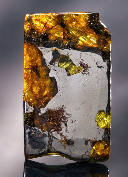 Esquel pallasite meteorite slice 