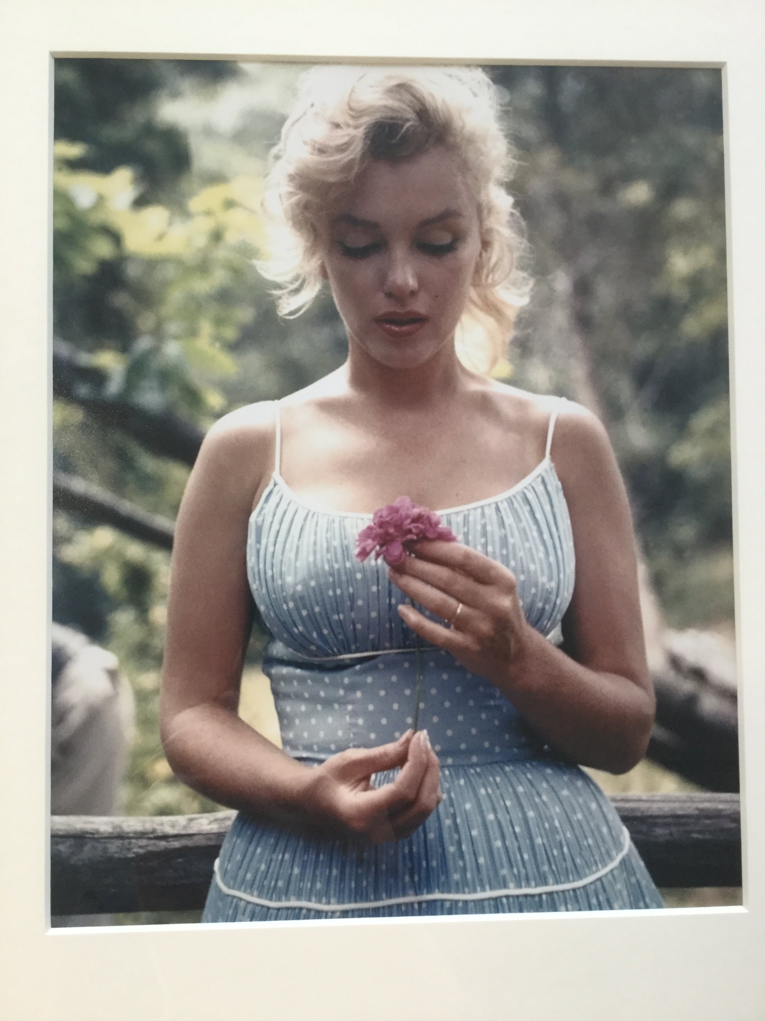 a photograph of Marilyn Monroe looking at a flower