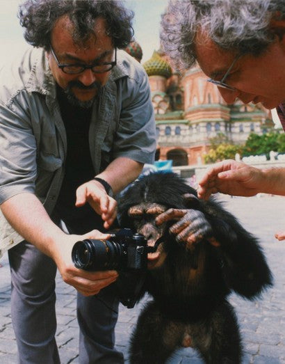 Moscow chimp photographs auction 