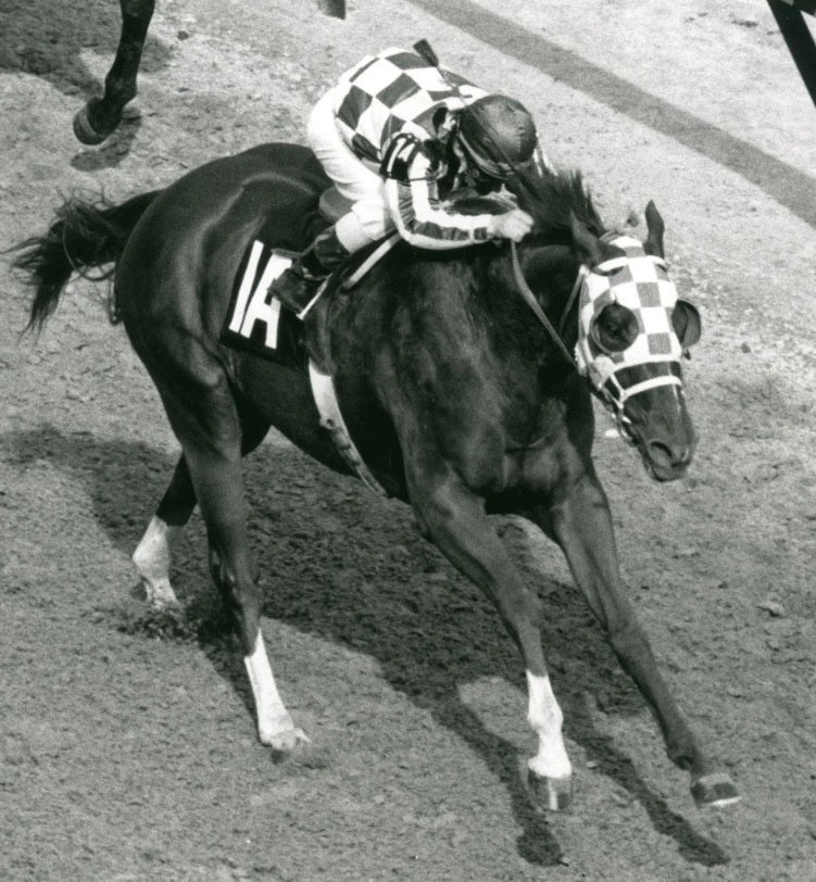 Secretariat wins