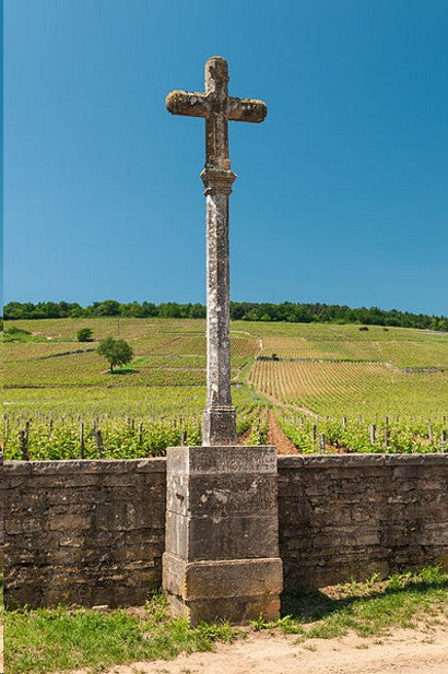 DRC vineyard Romanee Conti 