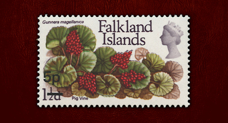 Falkland Islands 1971 5p on 1½d error