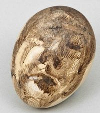 Freud egg shell 