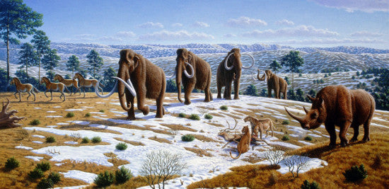 Mammoth family Wiki 