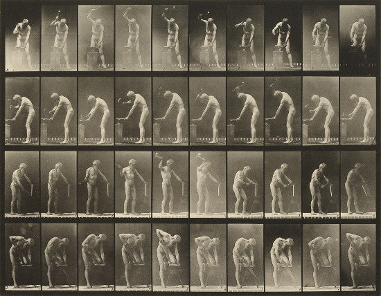 Muybridge Animal Locomotion