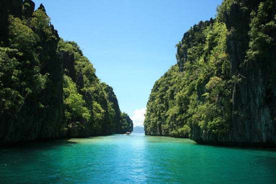 pearl Palawan Island 