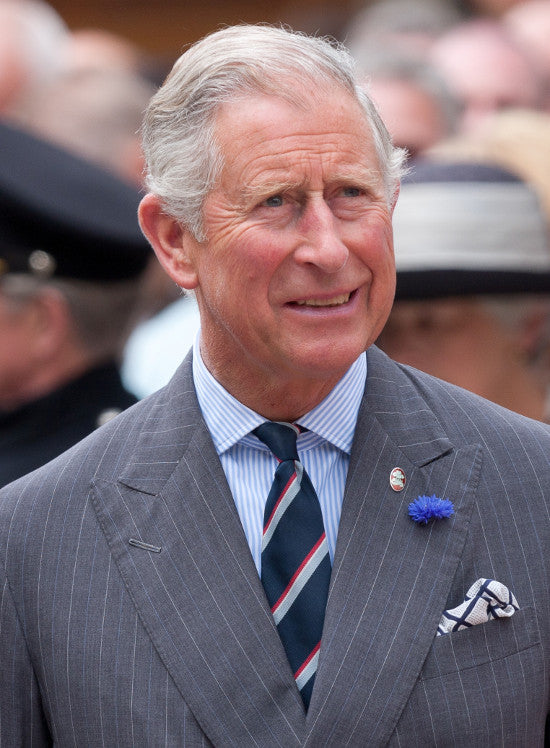 Prince Charles Wiki 