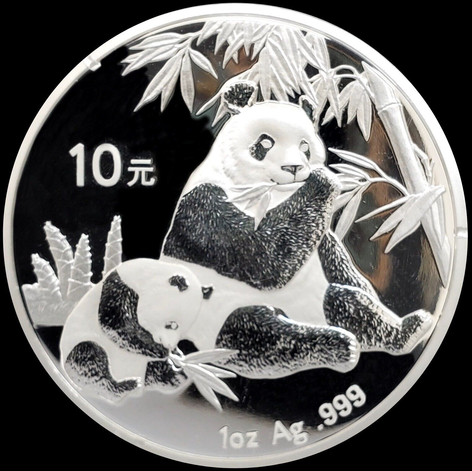 a 2007 silver 10 yuan panda coin