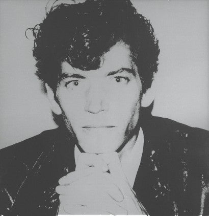 Warhol Mapplethorpe Doyle 