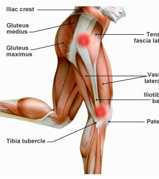 Rule 28 Knee Pain Physiotherapy