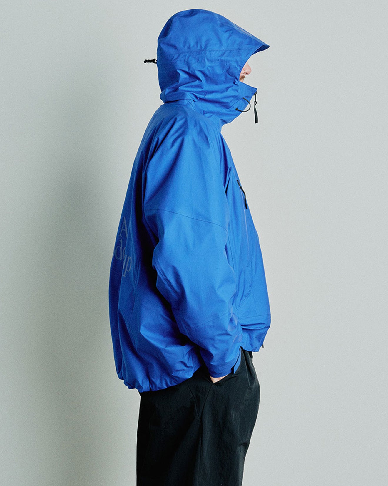 全ての Group Codex Alpine 希少 GORE-TEX Jacket 3L マウンテン