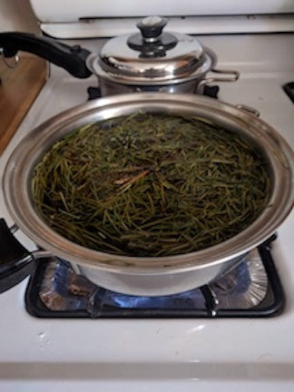 Pine Tea Simmering