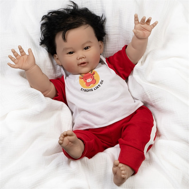 Top Retailers for Reborn Baby Dolls - Paradise Galleries, etc.