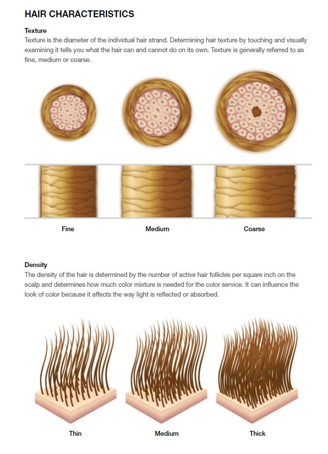 Guide To Fine Hair | TO112