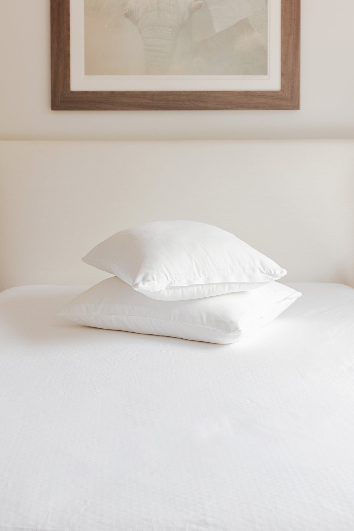 A pristine white mattress with the Cool Cotton Mattress Protector in place
