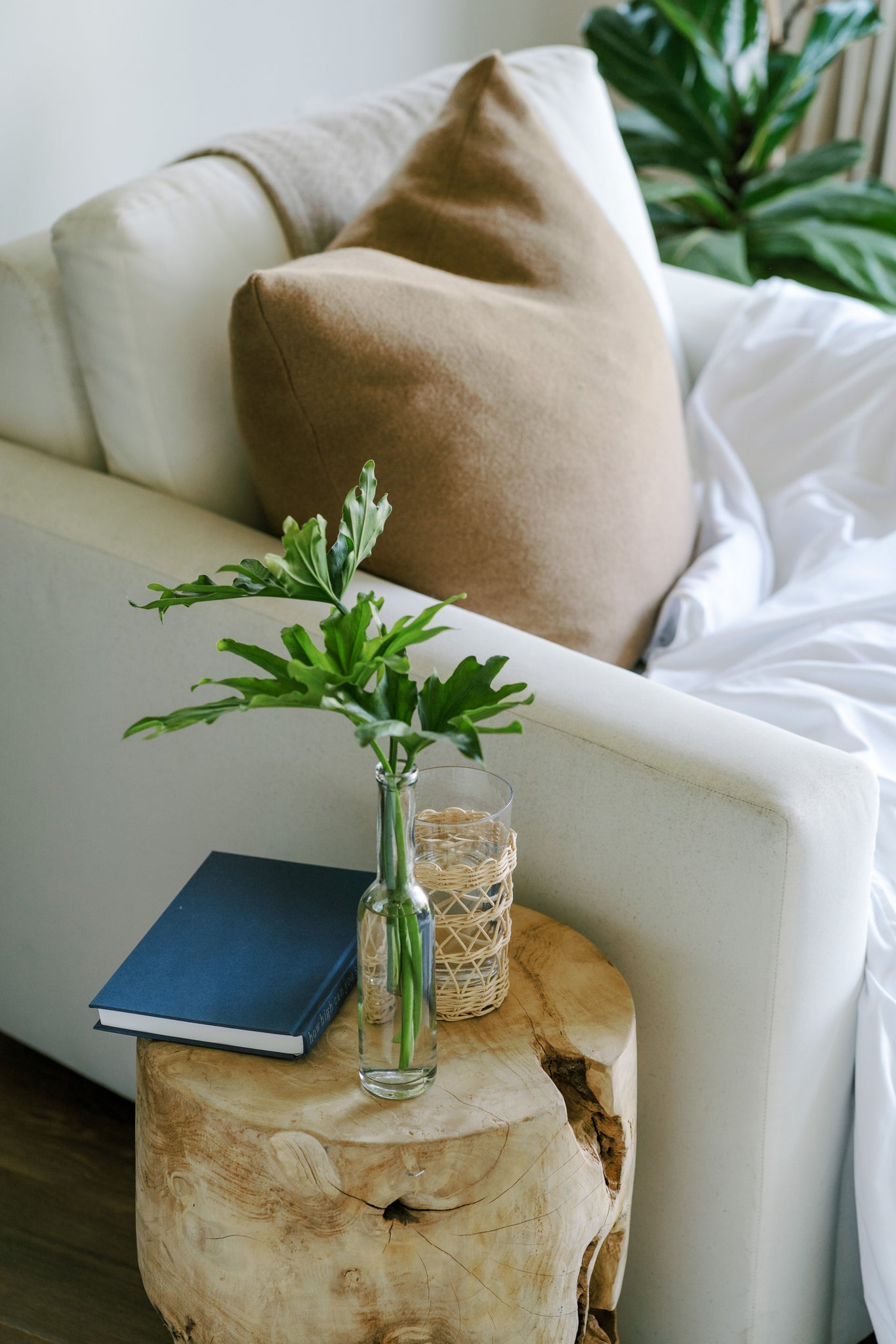 Decorate with Indoor Plants