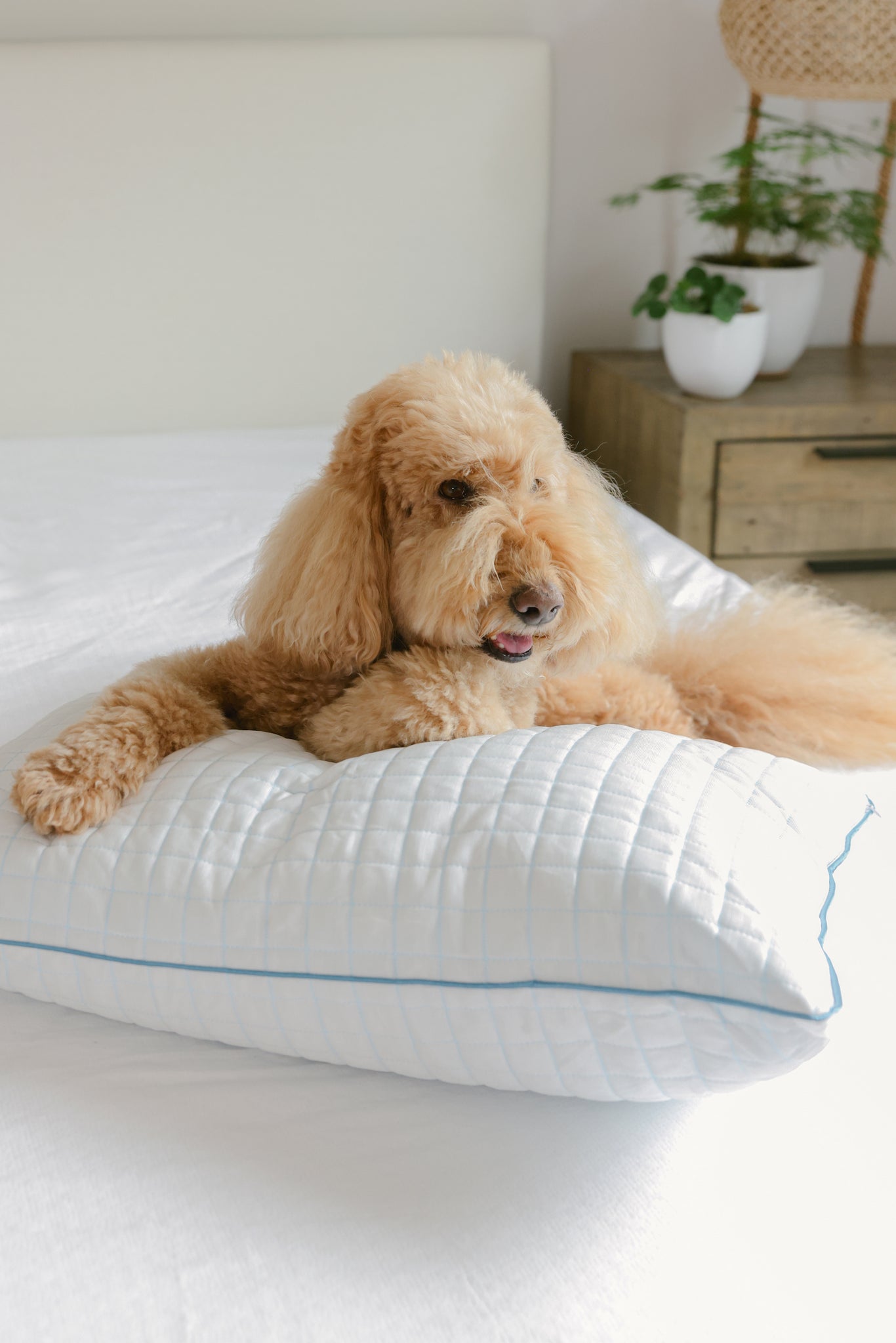 Waterproof yarn protecting the pillow from stains and moisture