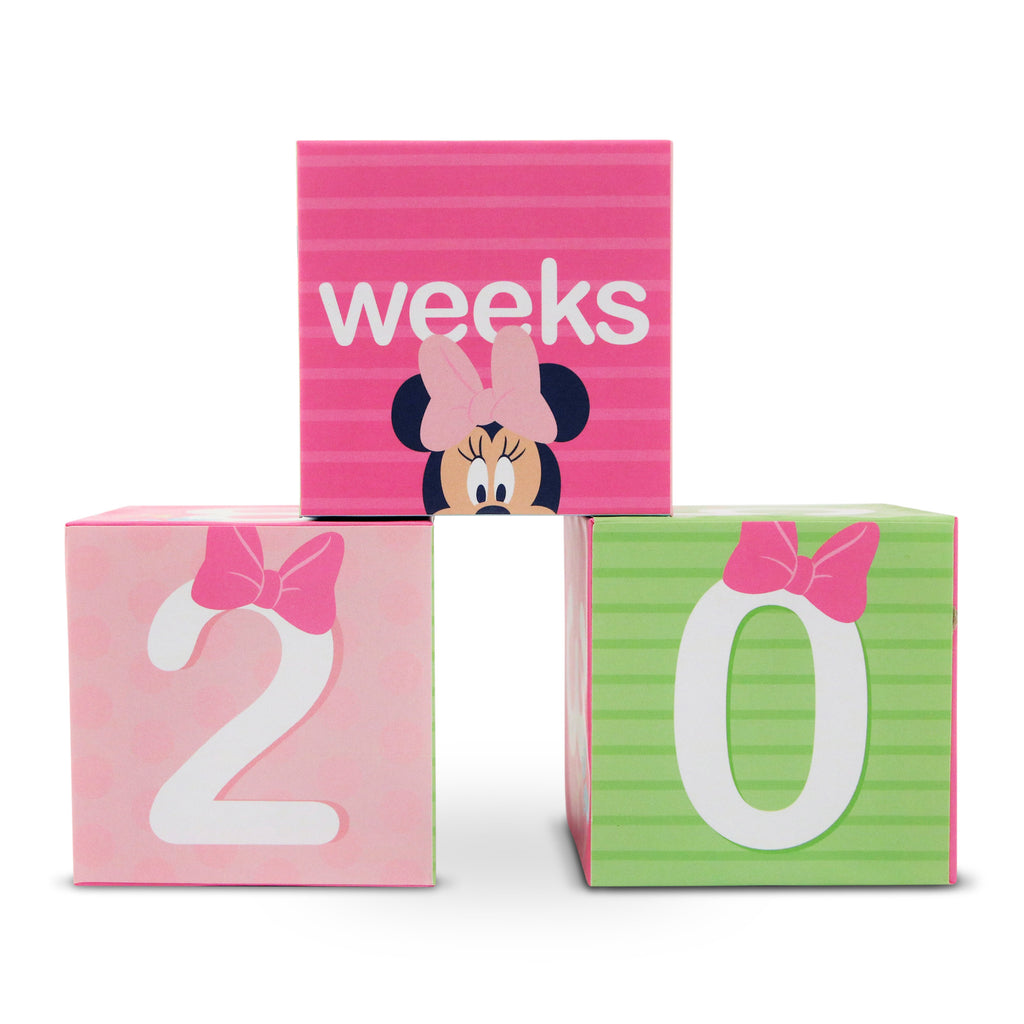 minnie mouse blocks