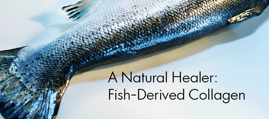 A Natural Healer - Fish Collagen